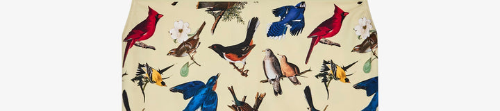 BIRDS OF GEORGIA VEST