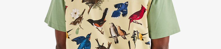 BIRDS OF GEORGIA VEST