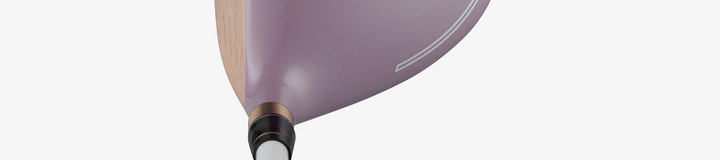 HONMA PREMIUM L FLEX / DR 11.5 FULL SET