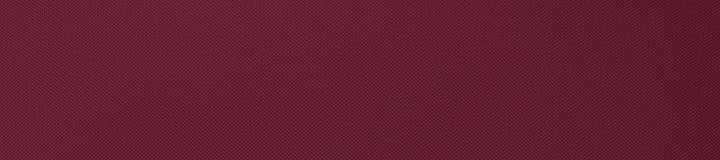FAIRWAY POLO