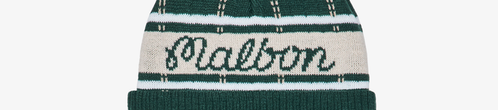 🎁 HOLDEN POM BEANIE (100% off)