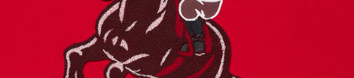 FESQUE HOODIE
