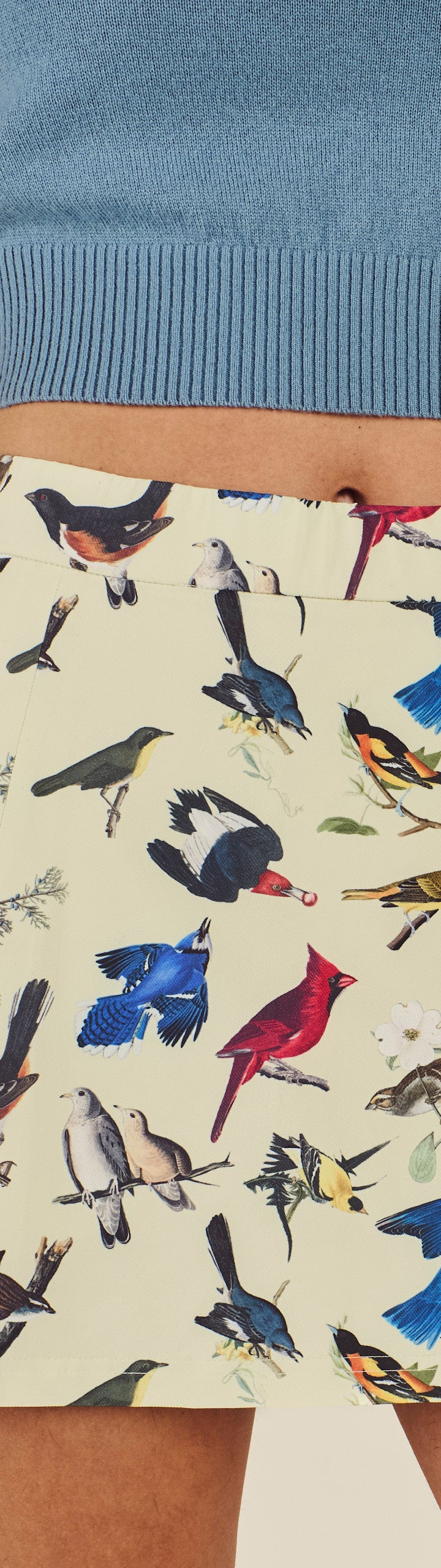 BIRDS OF GEORGIA ELLA SKIRT